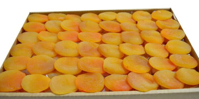 turkish dried apricot