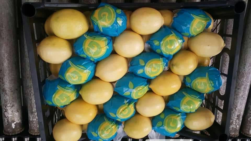 turkish lemon
