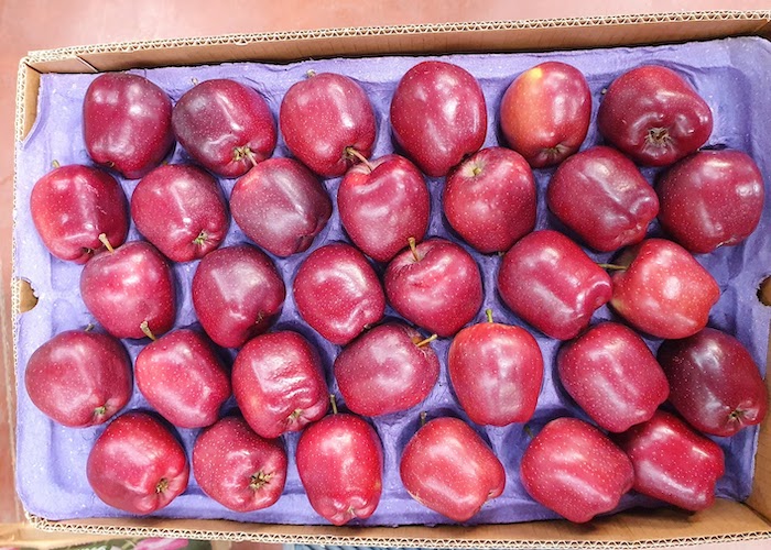 Turkish Red Delicious Apple 2